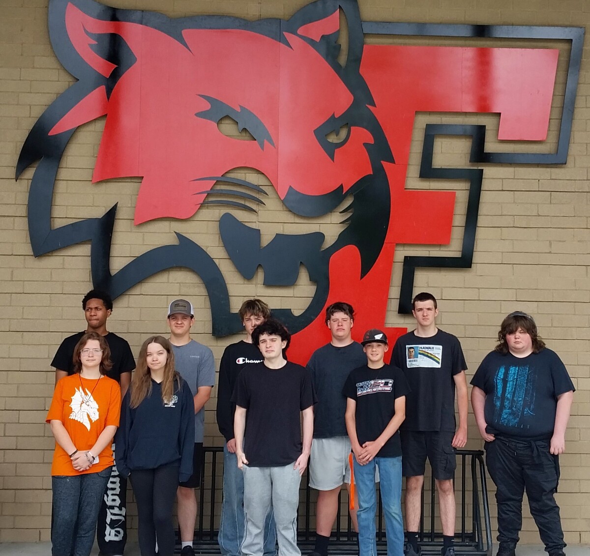 Ten students standing in two lines in front of a wall that has the Franklin High School mascot. 